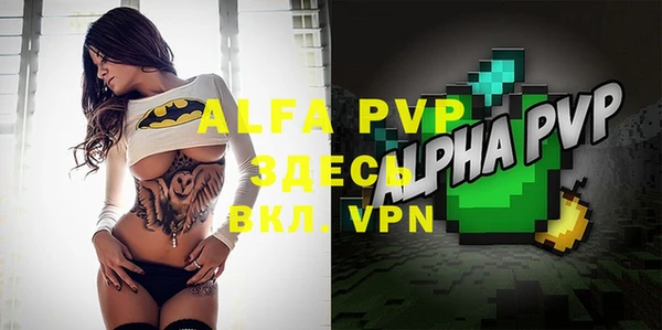 гидра Абаза