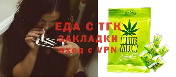 гидра Абаза
