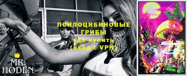 дживик Абинск