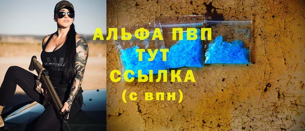 гидра Абаза