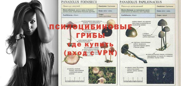 дживик Абинск