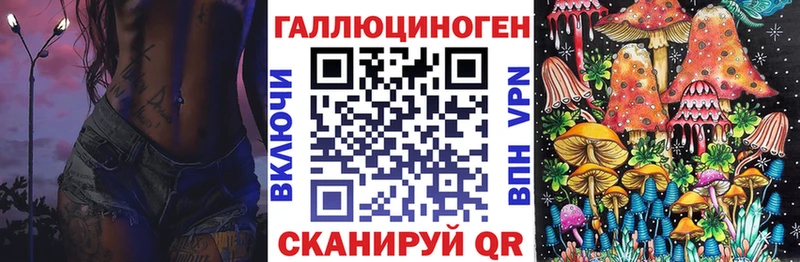 Галлюциногенные грибы Psilocybe  Кизляр 