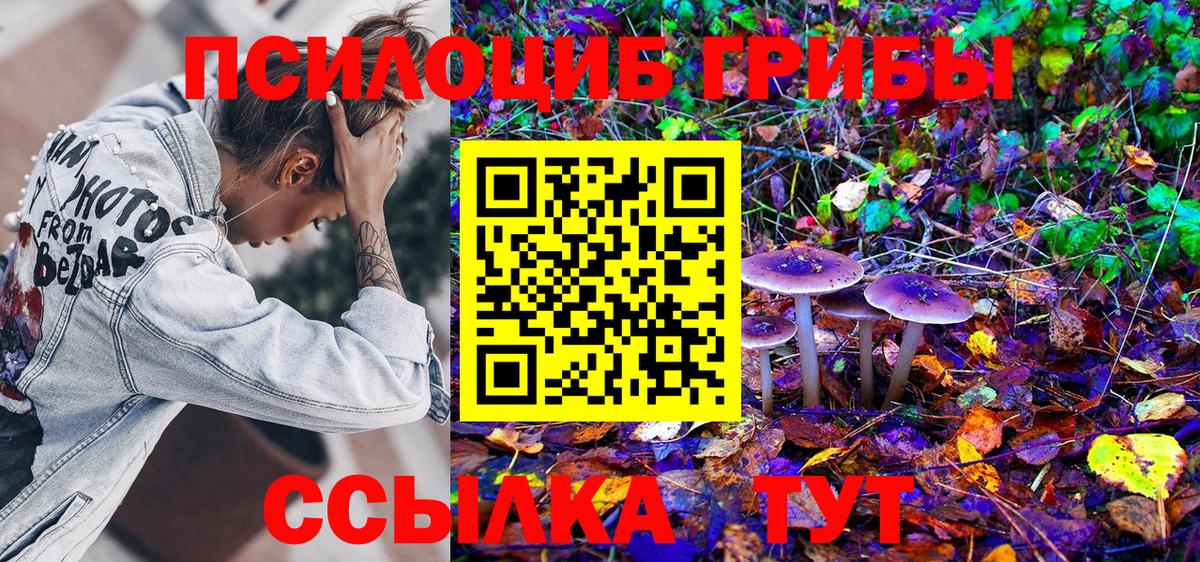 Кизляр  Галлюциногенные грибы прущие грибы  Галлюциногенные грибы Psilocybine cubensis  Вход с VPN 